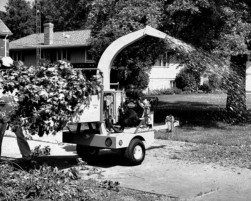 Landscape & Agriculture