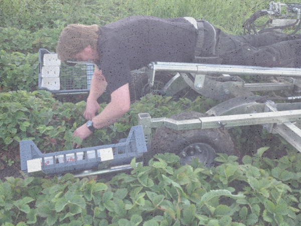 Mapro Draegen - long-awaited innovation