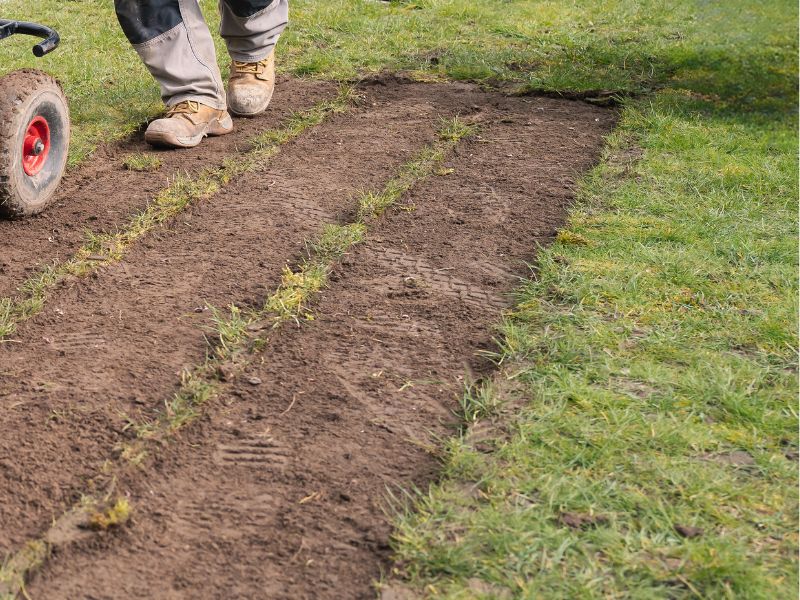 Benassi turf cutter in use