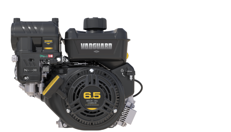 Vanguard 200 engine