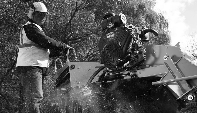 About Vanguard Engines