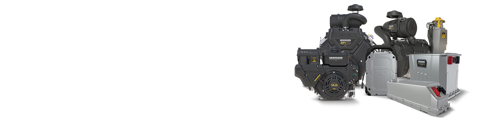 Learn how Vanguard can help power your business forward