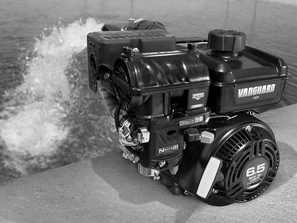 Vanguard Horizontal Shaft Gas Engines