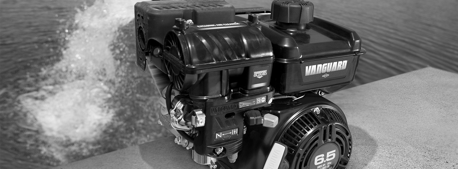 Vanguard Horizontal Shaft Gas Engines