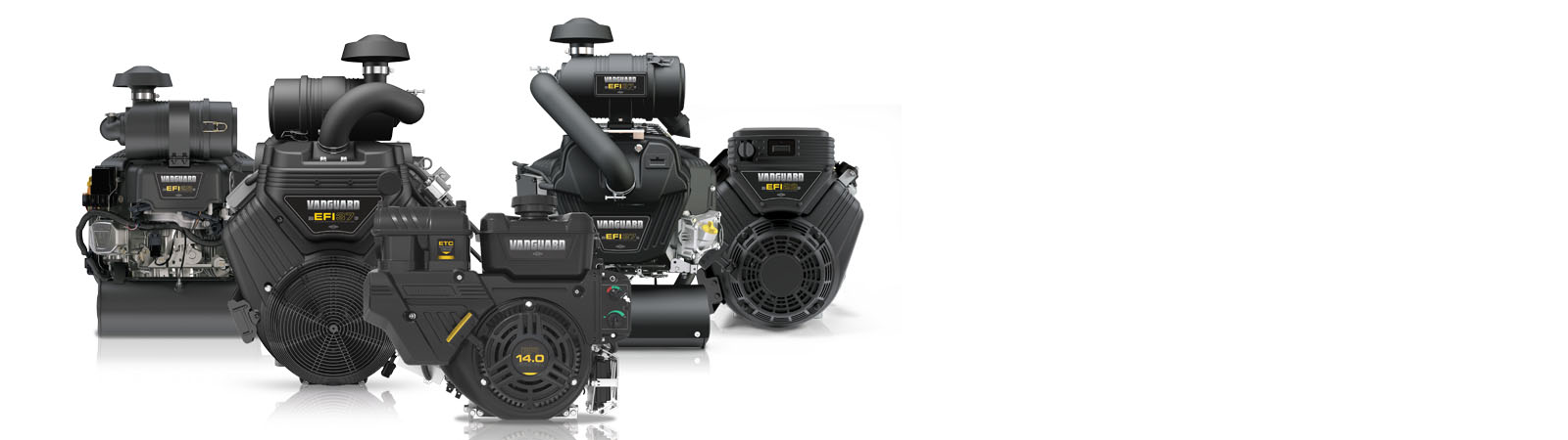 Vanguard Electronic Fuel Injection Information 