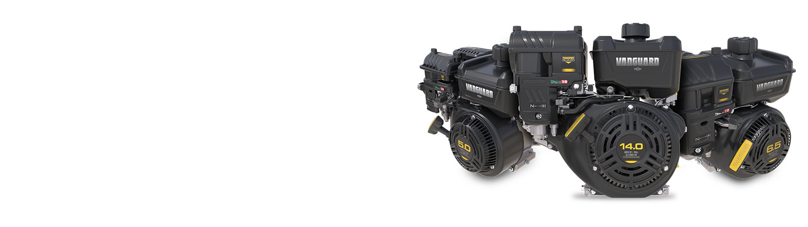 Vanguard TransportGuard Innovations 