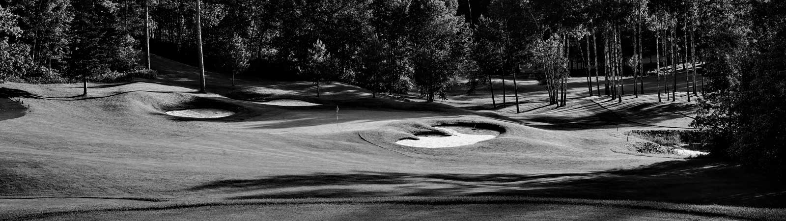 Freshly mowed golf course