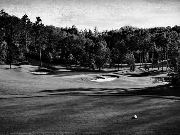 Freshly mowed golf course