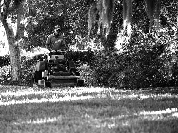 A person operating a zero-turn lawn mower powered by a Vanguard vertical shaft engine.