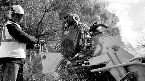 OEM Product Information 