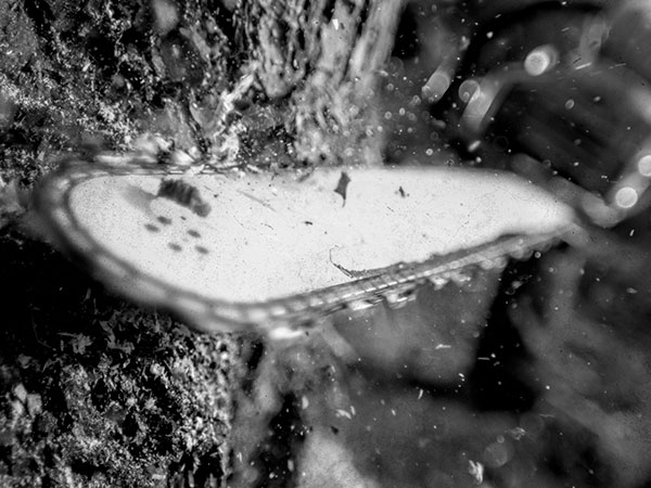 Zero-turn riding lawn mower powered by a Vanguard commercial engine