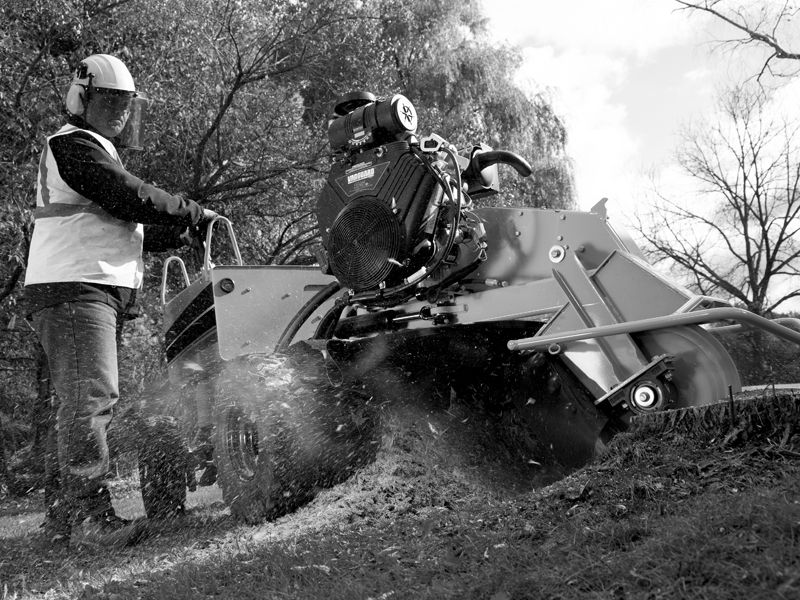 Vanguard Rental Partner Quality Assurance 